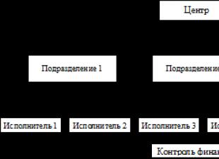 Организационные особенности внутрифирменной структуры Внутрифирменная структура фирмы и ее типы