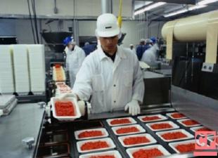 Mėsos pusgaminių gamybos cecho verslo planas