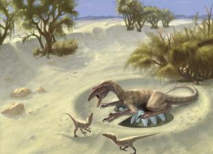 Dinozaurų kiaušiniai kaip informacijos apie senovės žemės gyventojų gyvenimą šaltinis Dinozaurų kiaušinių lukštai buvo įvairiaspalviai